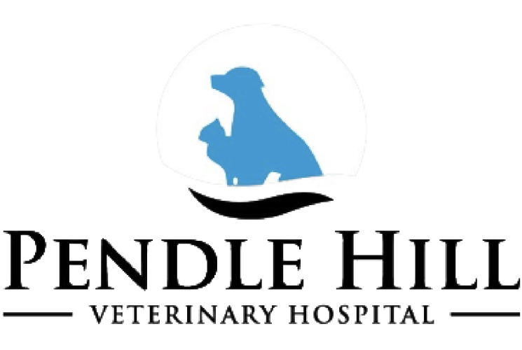Pendle hill-Logo